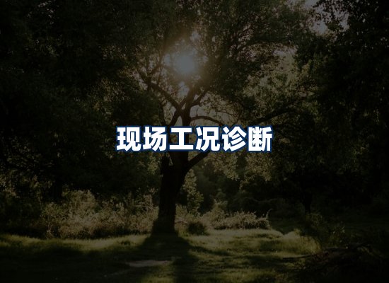 专业团队办公环境